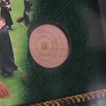 Harry Potter Practice Broom Prop Card From Sorcerer's Stone!