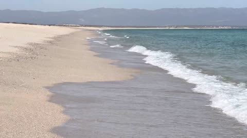 Decoding Illnesses From Energetic Imbalances I