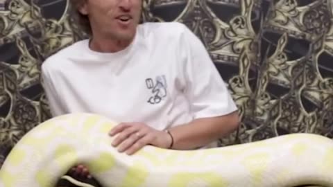 Modric’s always calm under pressure… unless there’s a snake involved 😅😨