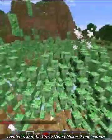 Creeper Craze Vid