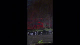 Soft Tides – when time forgets to move.