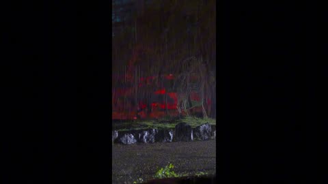 Soft Tides – when time forgets to move.