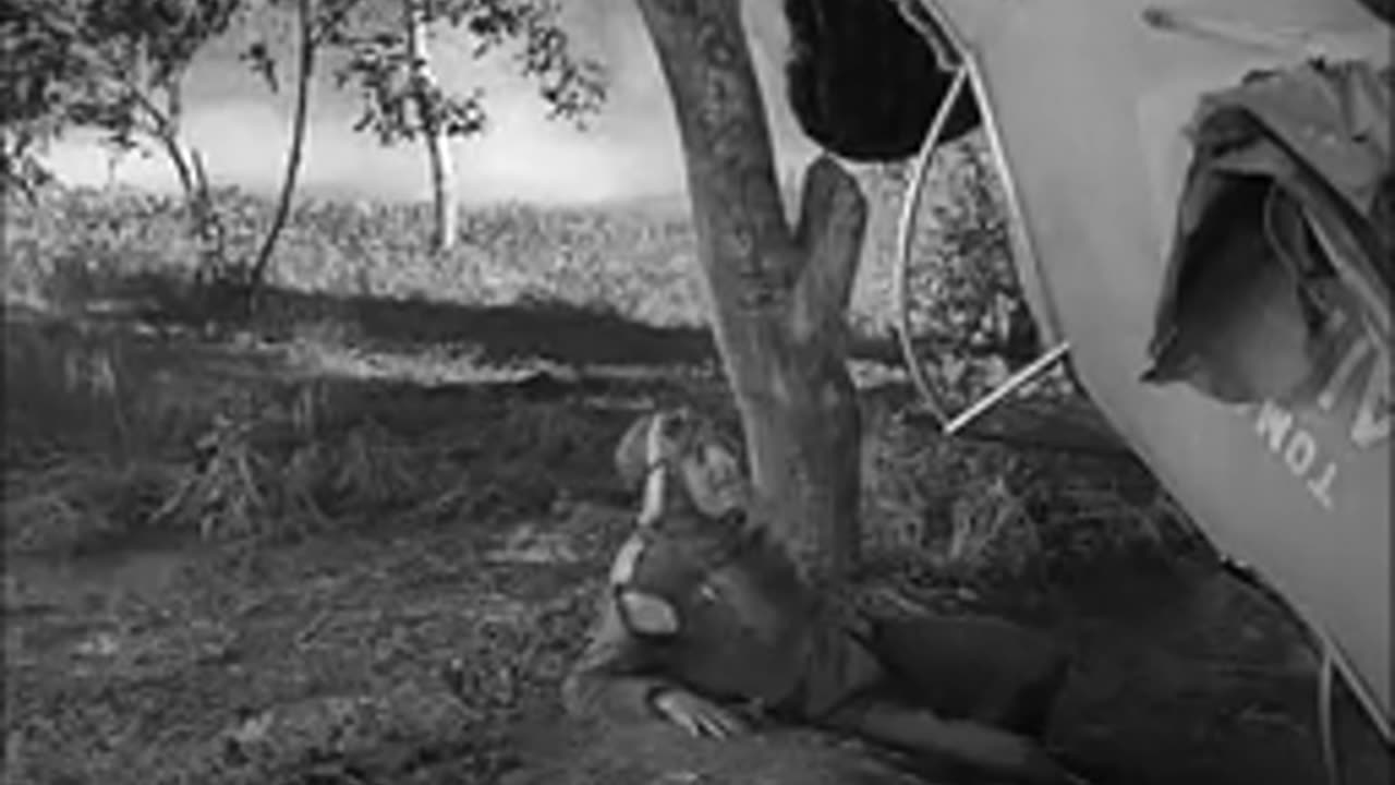 Charlie Chaplin - The Great Dictator 1940 - in a plane (Charlie Chaplin & Reginald Gardiner)