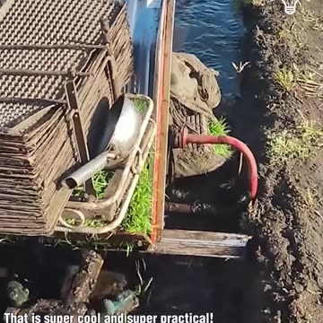 Planting multiple rice seedlings at once!.hd