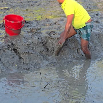 Amazing Fish by vilage