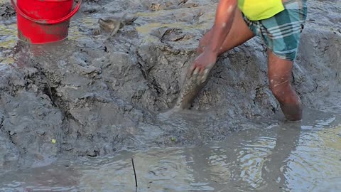 Amazing Fish by vilage