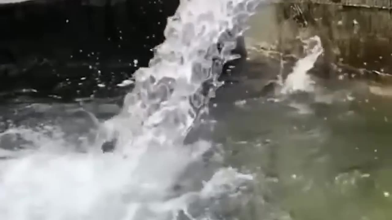 mansha sach mein saphal hone kee ho to chhalaang oonchee hee maaranee padatee hai.