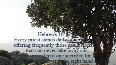 A reading from the book of Hebrews, 10:11-18