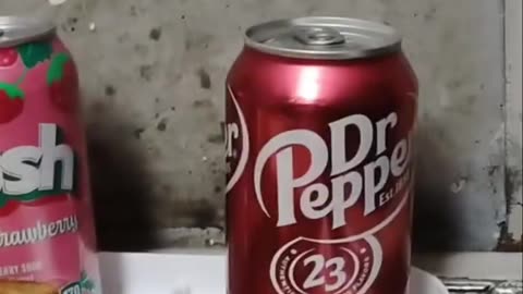 Fire Prison Meals Final Results