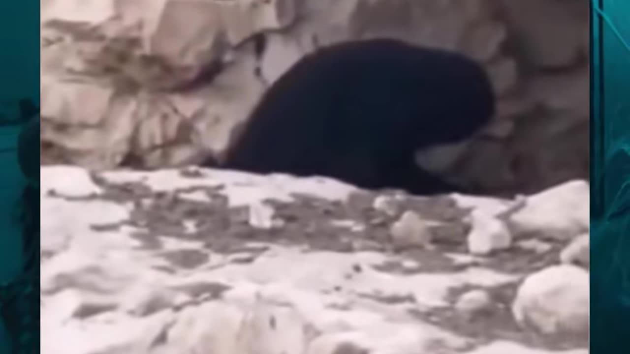 😨👻 OMG! Demon Caught on Camera in Bizarre Incident | TheHauntingHour