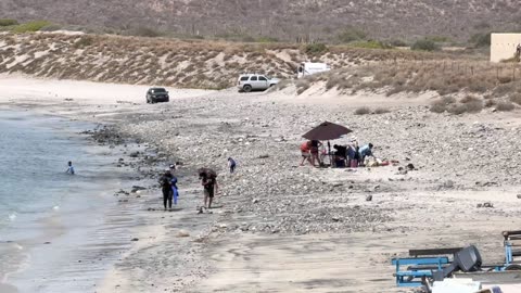 La Tia de Prima: Sue Remedios Naturales para la Salud