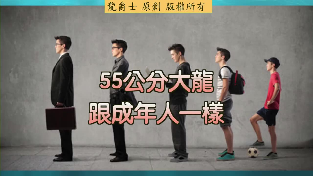 【龍爵士】千問千答 Q227 金龍55公分換白缸還有辦法變金條嗎