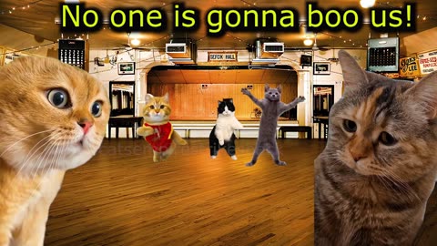 When Cats and their Neighbor's band makes their first live performance (Ep.76)