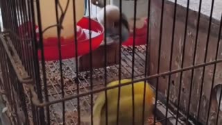 😂🐱 You Won't Believe What This Cat Left Behind! | FunFM