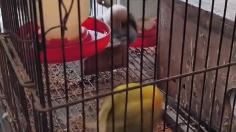 😂🐱 You Won't Believe What This Cat Left Behind! | FunFM