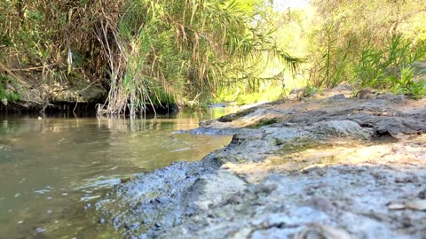 🌊 Flowing River Ambience | Relaxing Water Sounds for Sleep, Meditation & Deep Focus 🌿