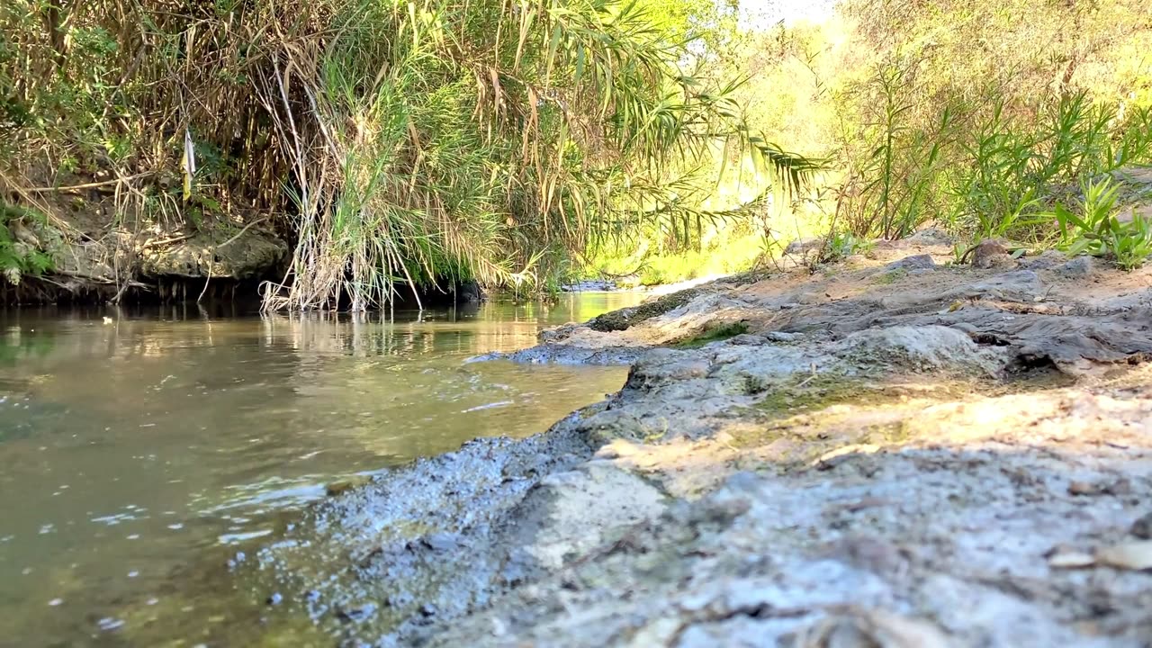 🌊 Flowing River Ambience | Relaxing Water Sounds for Sleep, Meditation & Deep Focus 🌿