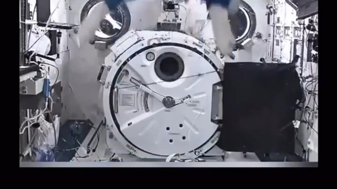 🤯✨ Animals' reactions in Zero Gravity Will Blow Your Mind! | FeedMyCuriosity