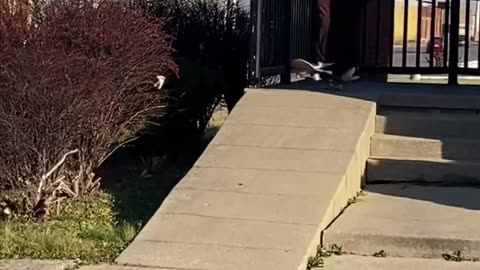 💥🙌 Shredder! This Trick is Pure Fire! | SkateNation