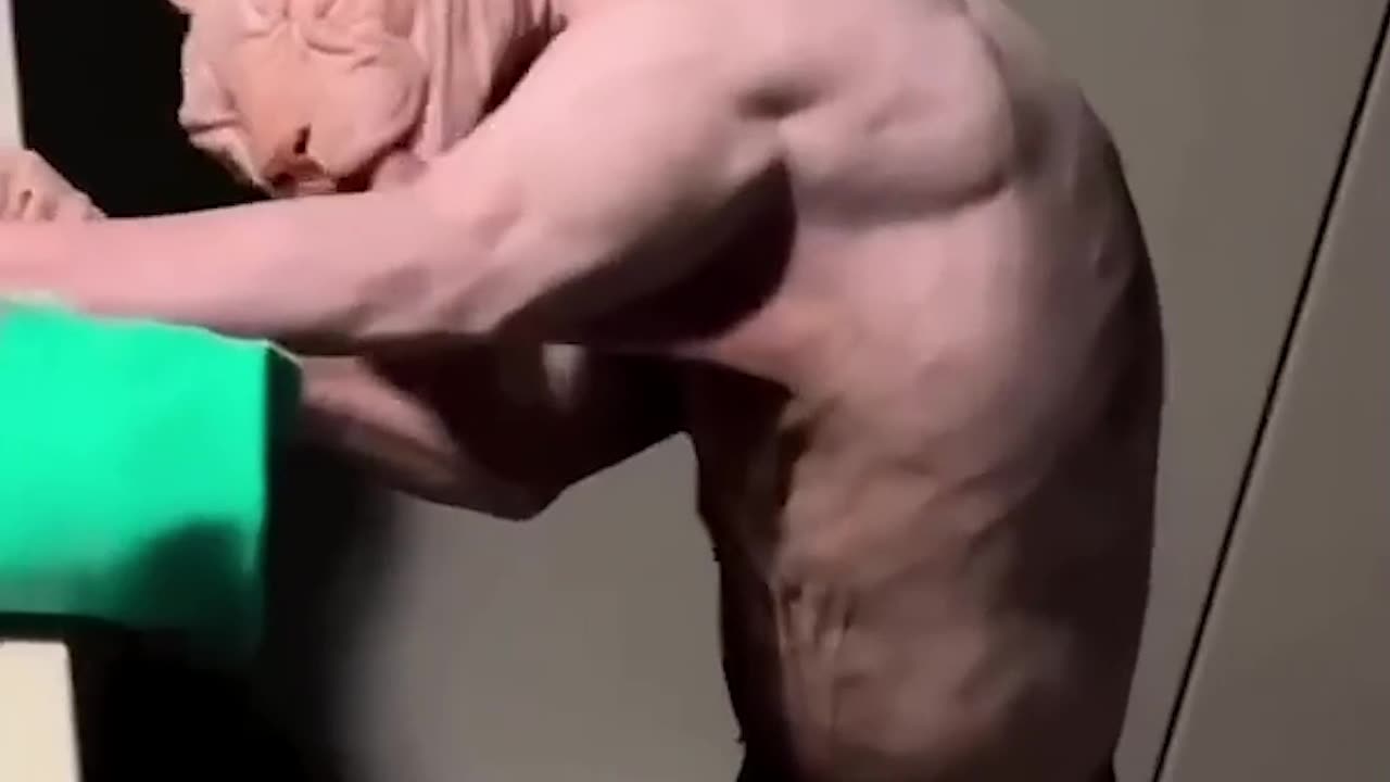 Insane Talents You Won’t Believe Exist 😳 Fail compilation? Viral Clips Compilation! 08