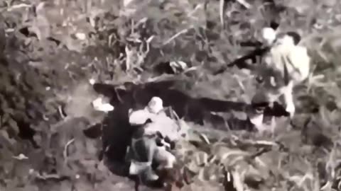 Ukraine war combat /related footage 11/16/2025