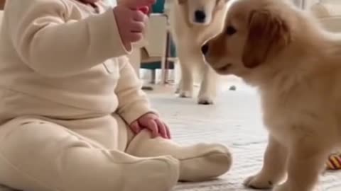 Cute Baby Playing With Animals | Adorable Baby & Pets Moments | Funny Animal Reactions”