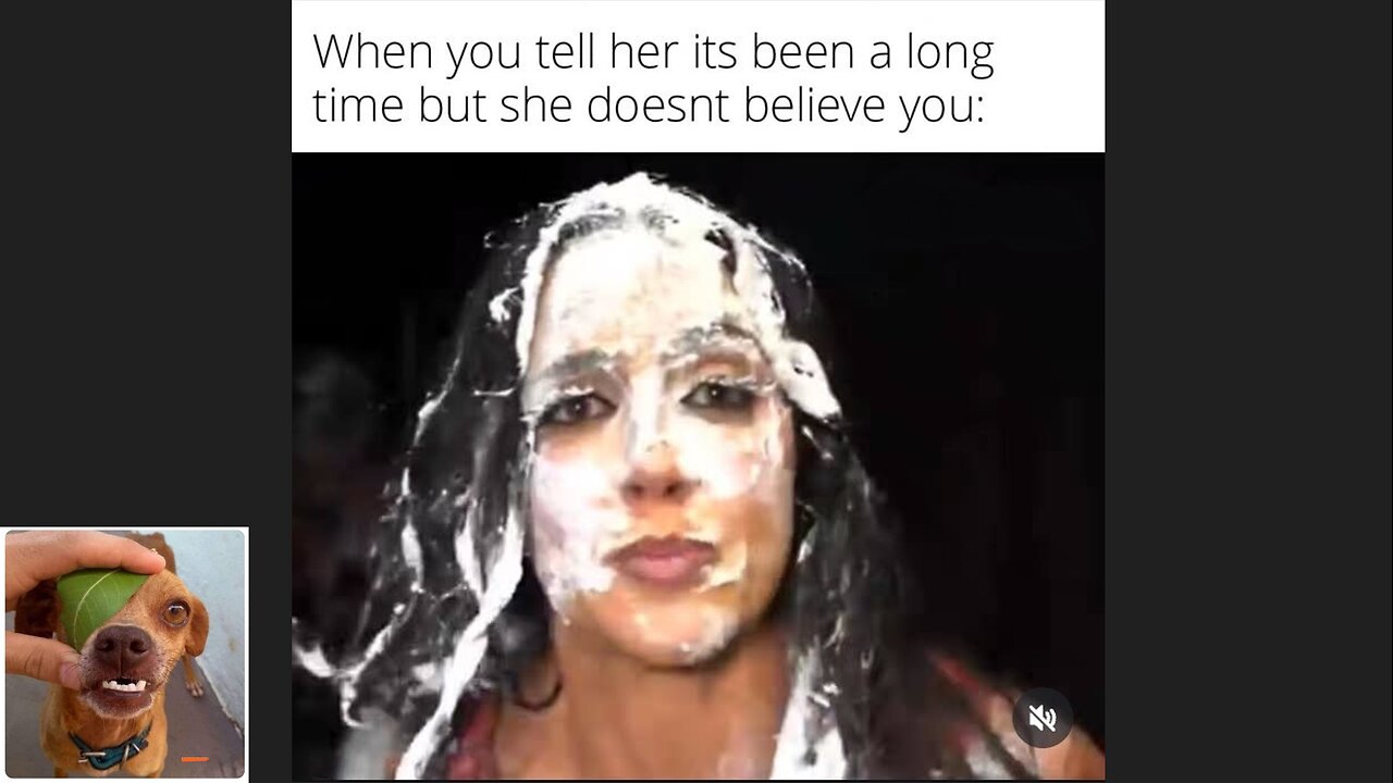 Memes That Will 99.0491% Make You Laugh. (e715)