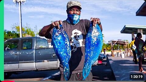 Bizarre Bahamas!! More Unseen EXTREME Seafood!!