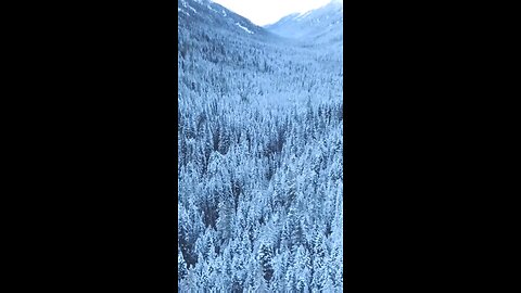 Daily Verse November 29th 2025