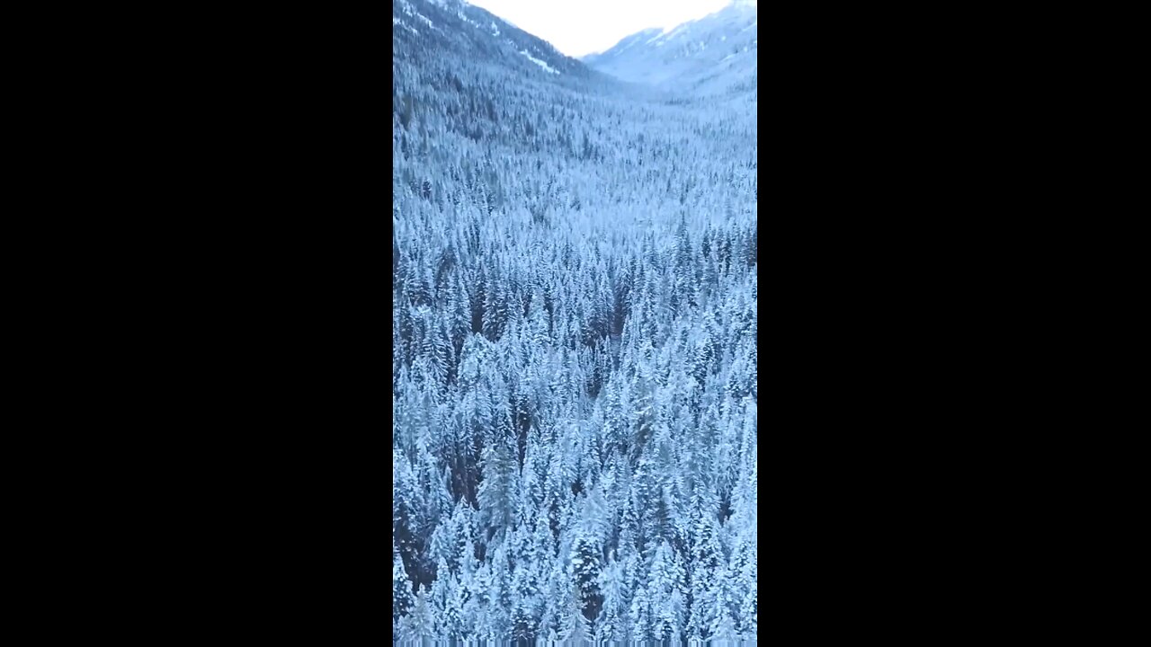 Daily Verse November 29th 2025