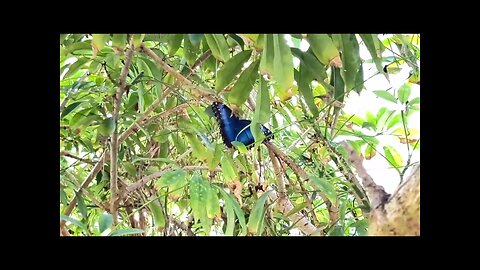 a colorful time in six flags