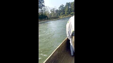 Sauraha chitwan boting// nature view// jungle safari