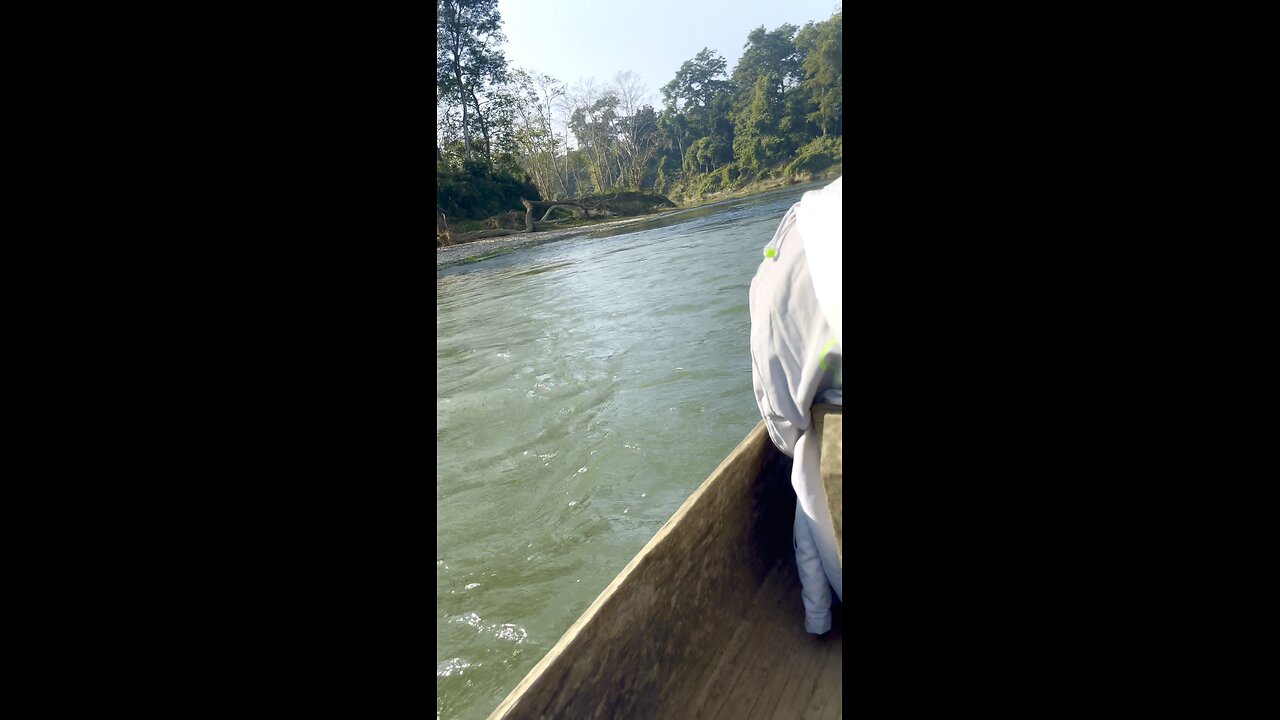 Sauraha chitwan boting// nature view// jungle safari