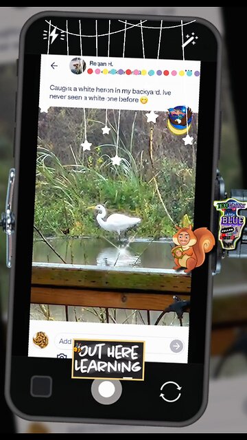 ☯️ Meaning & Symbolism of Great White Bird #egret #heron *sightings ᛜ purity ᛜ patience ᛜ grace