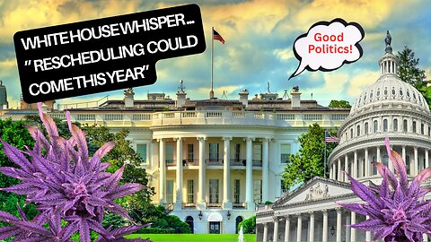 A Weed Whisperer in the White House: Federal Reform is "Good Politics" - MPP Exec. Dir. Adam Smith