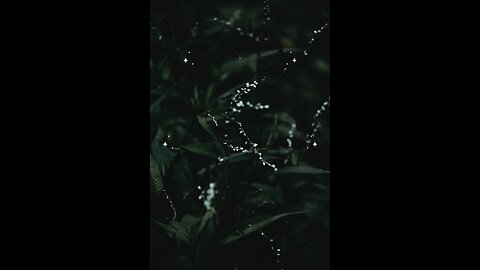 Hadess e nabvi ( saw) #islam #viralvideos #islamicreminders #prophetmuhammadsaw #hadeesenabvi