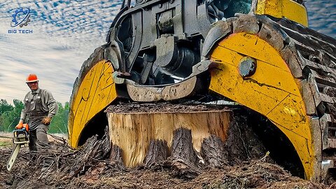 Most Big Chainsaw Cutting Tree Machines #36 | Monster Stump Removal Excavator