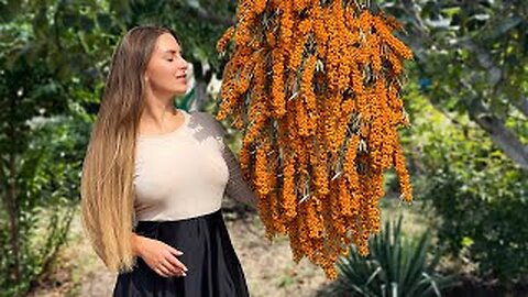 Harvesting and Preserving Sea Buckthorn for Winter _ Relaxing Village Recipe