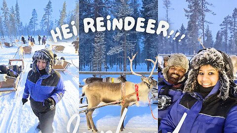 Magical Reindeer ride in Lapland on Christmas day!!!