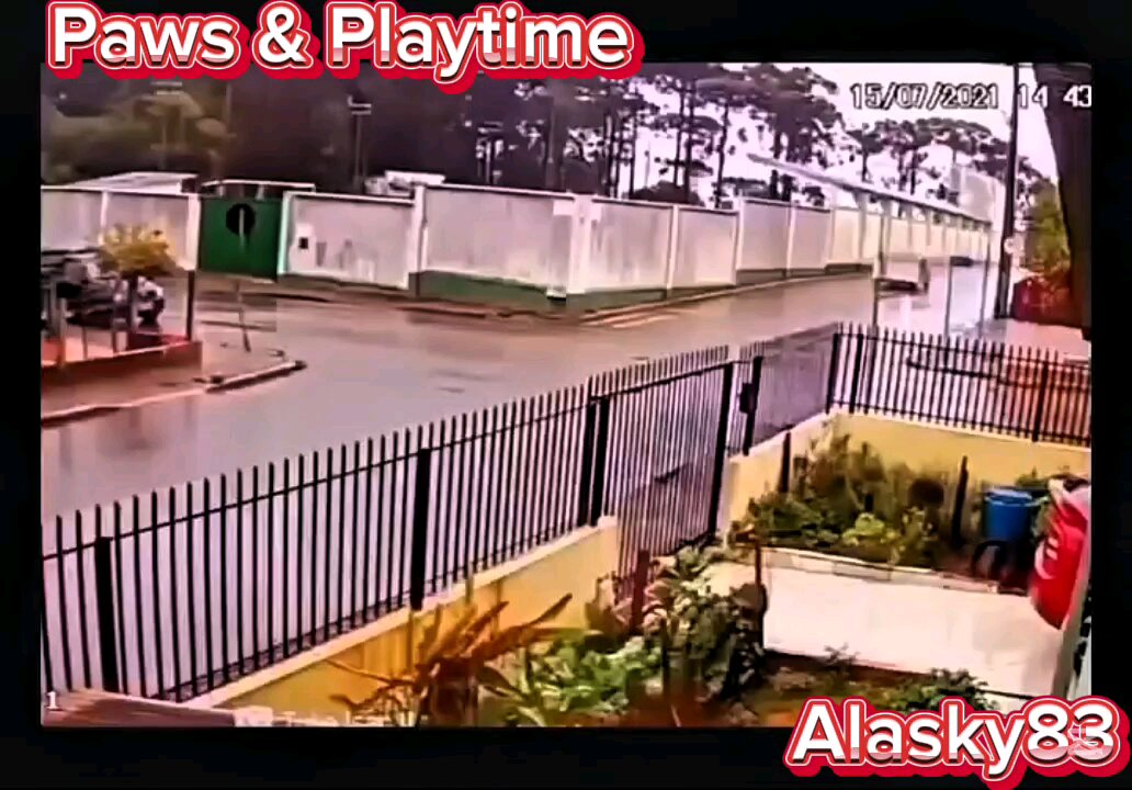 FENCE OF A HOUSE IS DESTROYED TWICE BY TWO CAR ACCIDENTS IN SHORT PERIODS OF TIME