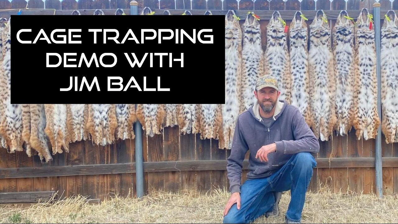 Jim Ball Cage Trapping Bobcats Demo from the Williams Sale 2022!