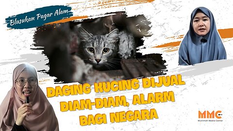 [PAGAR ALAM] Daging Kucing Dijual Diam-diam, Alarm bagi Negara | Blusukan