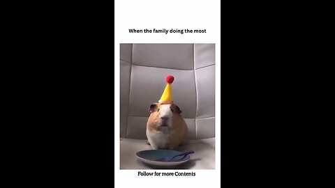 When the Family is doing the most