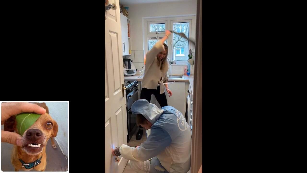 Funny videos compilation 28