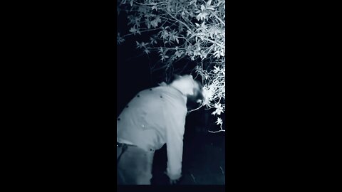 Skinwalker Caught On Hidden Camera