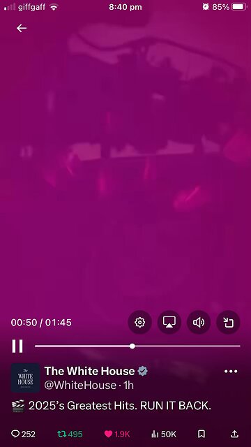 The White House : Cuffing Season ( 17 mln views)