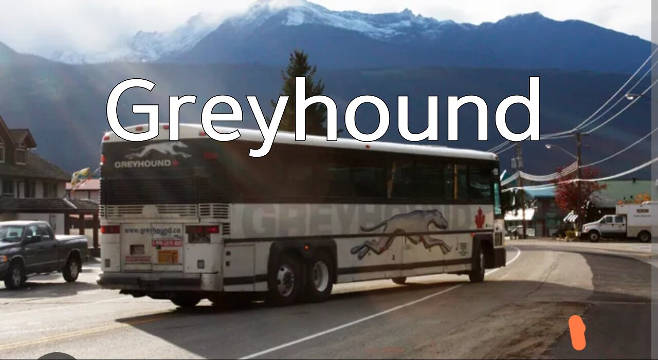 Original) 그레이하운드/ Greyhound #ai #greyhound #bus #song