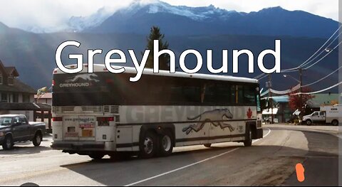 Original) 그레이하운드/ Greyhound #ai #greyhound #bus #song