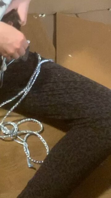 Young Fancy Rats Enid and Wednesday During Free Roam and Harness Training