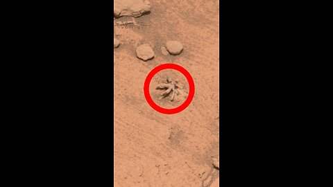 Som ET - 58 - Mars - Curiosity Sol 3397 - 1
